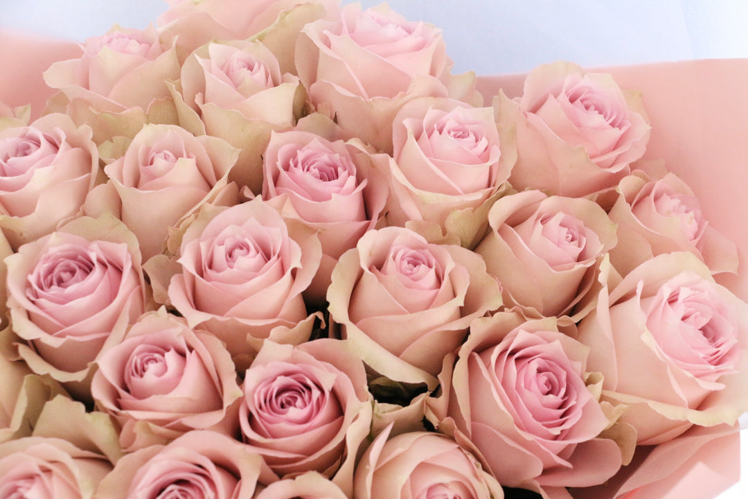 25本のピンク色のバラの花束-あなたの幸せを祈っています