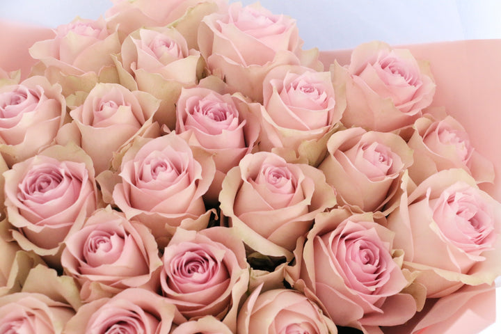 25本のピンク色のバラの花束-あなたの幸せを祈っています