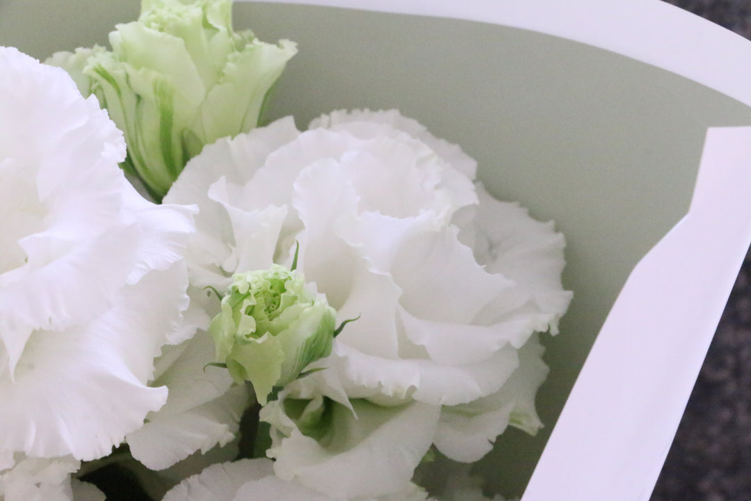 白いトルコキキョウの花束（4本）