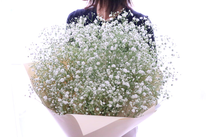 カスミソウ（かすみ草）の花束 7,000円