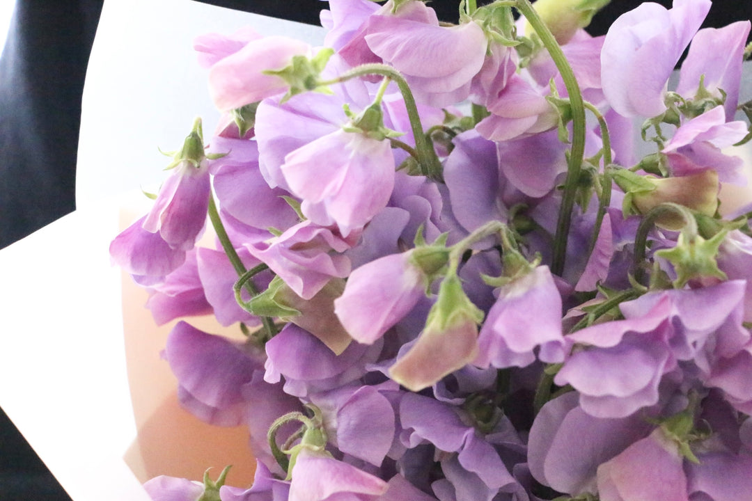 紫色のスイートピーの花束（30本）