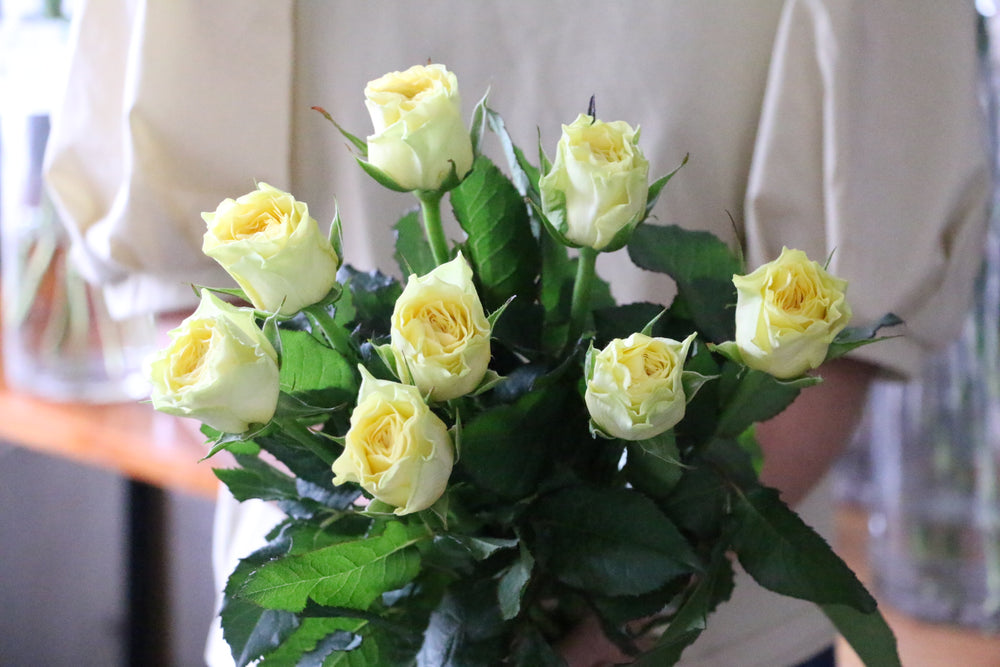 黄色いバラの花束（8本）