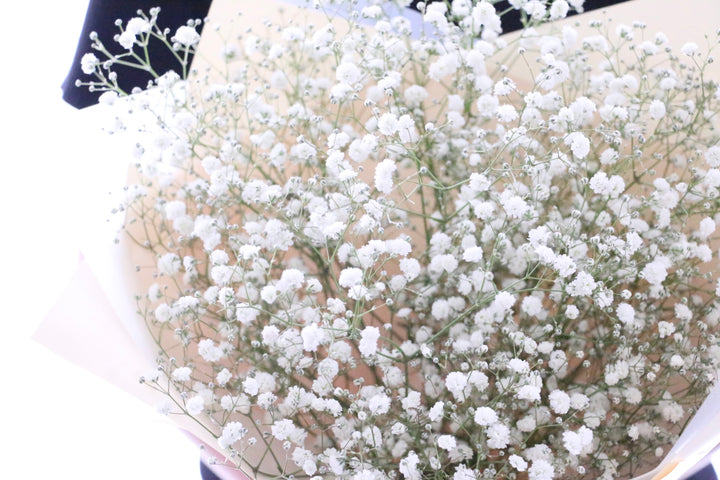 カスミソウの花束 3,500円