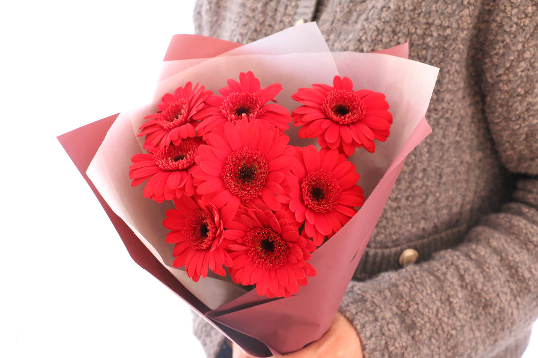 赤色のガーベラの花束（8本）-あなたの思いやりに感謝します