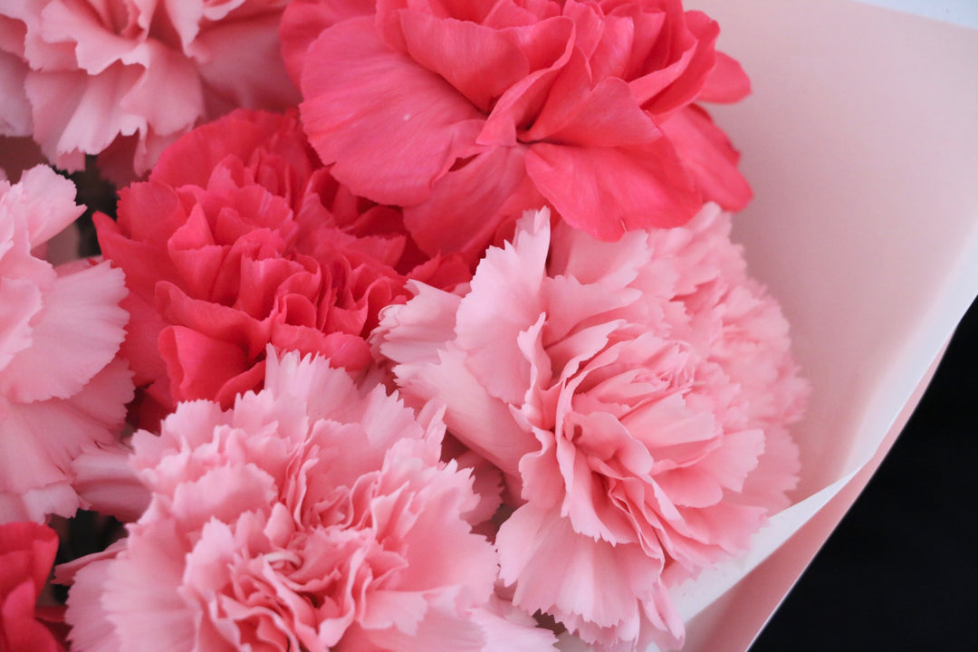 ピンク色ミックスのカーネーションの花束（10本）