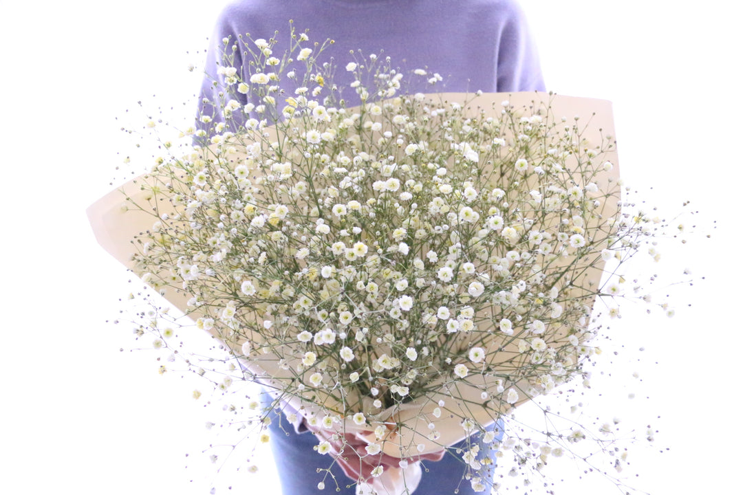 黄色のカスミソウ（かすみ草）の花束 5,000円 Mサイズ