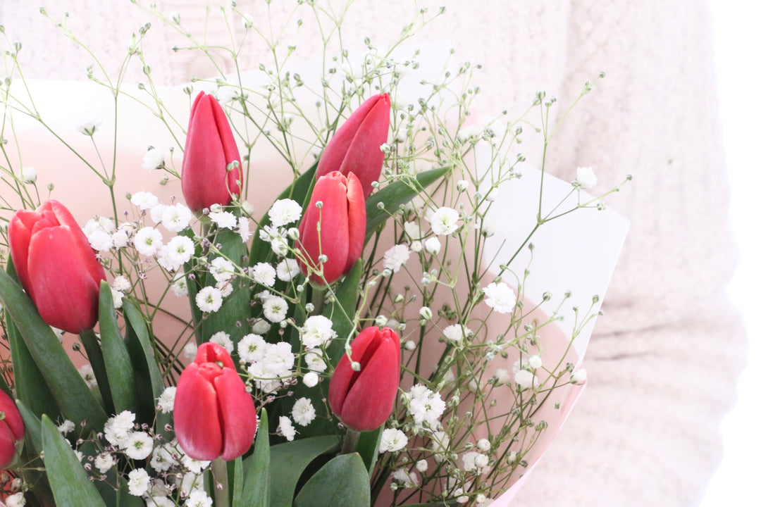 赤いチューリップ（8本）とカスミソウの花束
