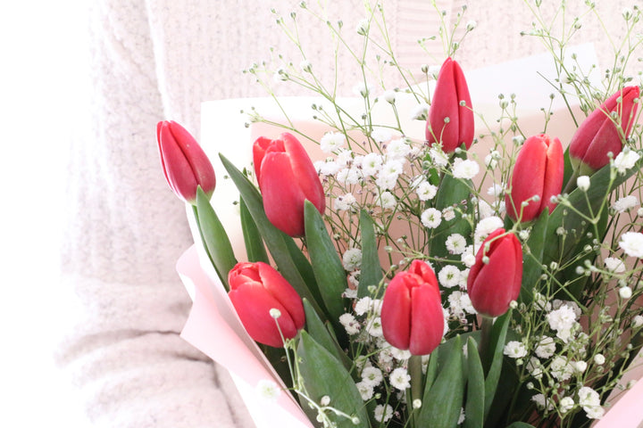赤いチューリップ（9本）とカスミソウの花束