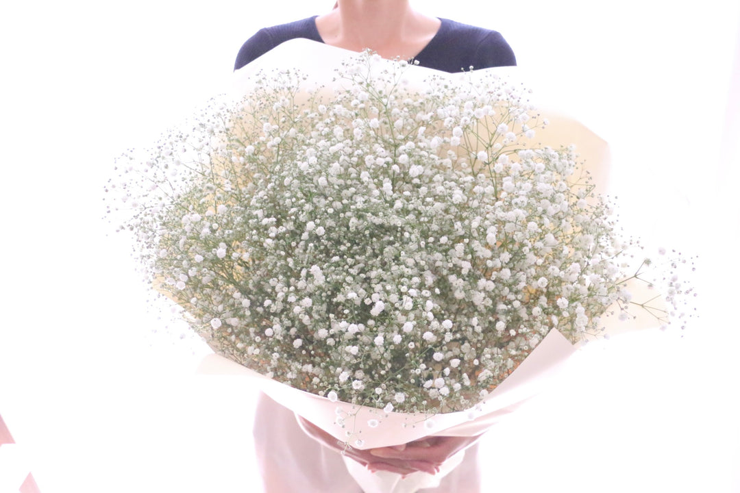 カスミソウ（かすみ草）の花束 9,000円