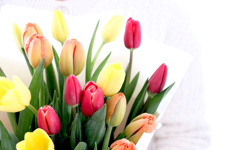 【3色MIX】チューリップの花束（20本）