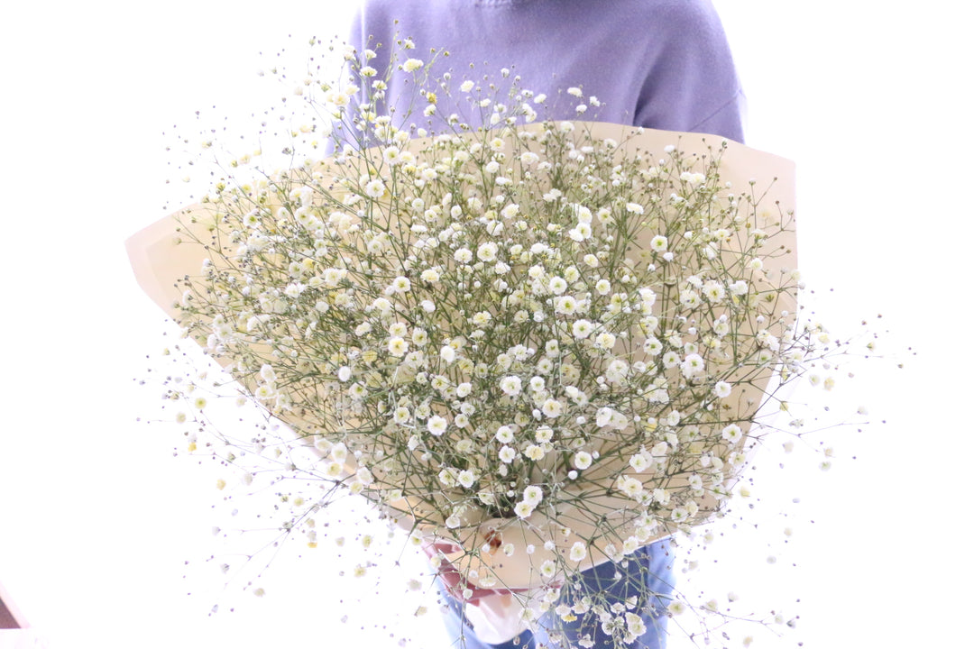 黄色のカスミソウ（かすみ草）の花束 5,000円 Mサイズ