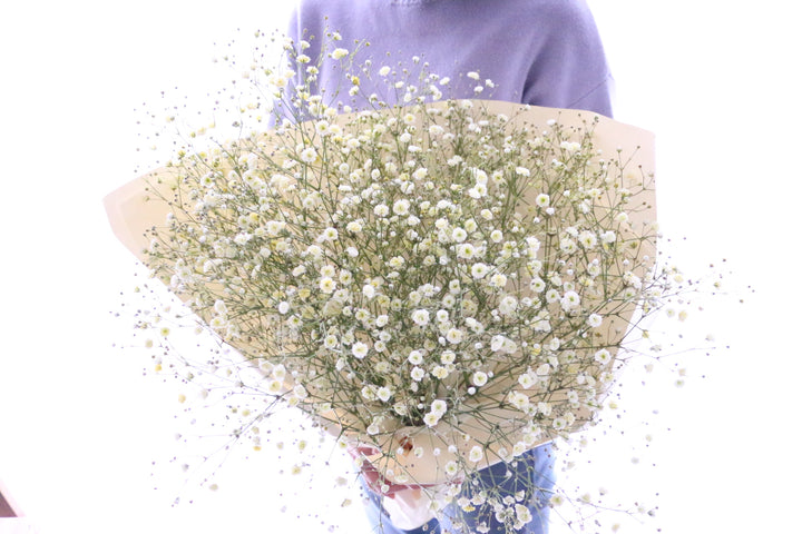黄色のカスミソウ（かすみ草）の花束 5,000円 Mサイズ