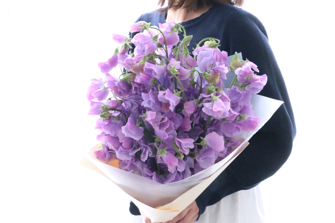紫色のスイートピーの花束（50本）