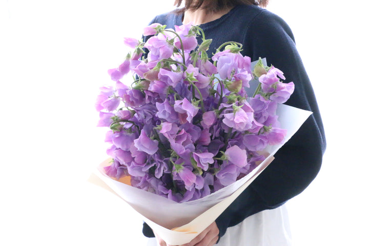 紫色のスイートピーの花束（50本）