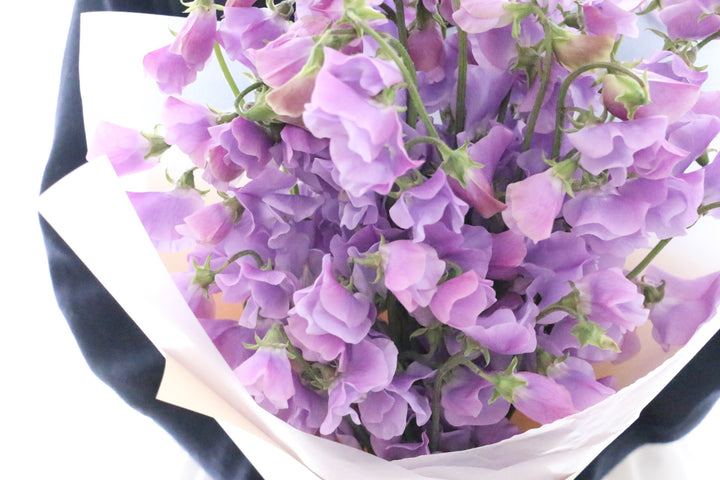紫色のスイートピーの花束（40本）