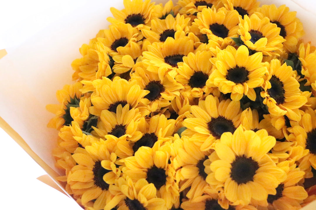 ひまわりの花束（88本）