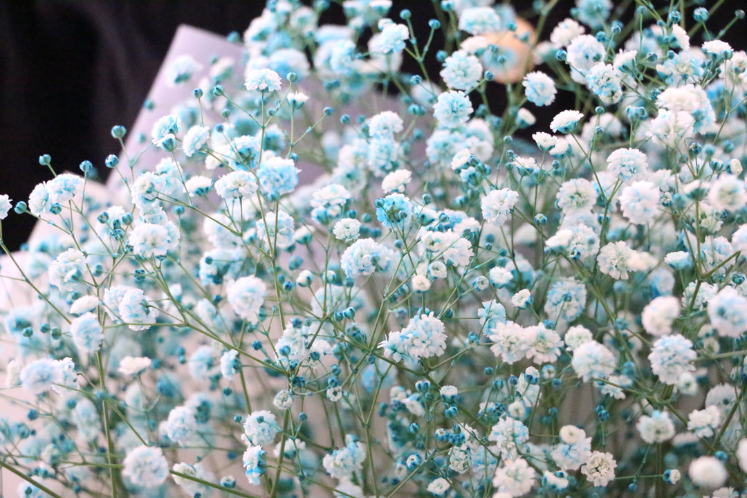 水色のカスミソウ（かすみ草）の花束 3,500円