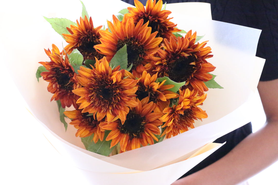 ブラウンのひまわりの花束（10本）