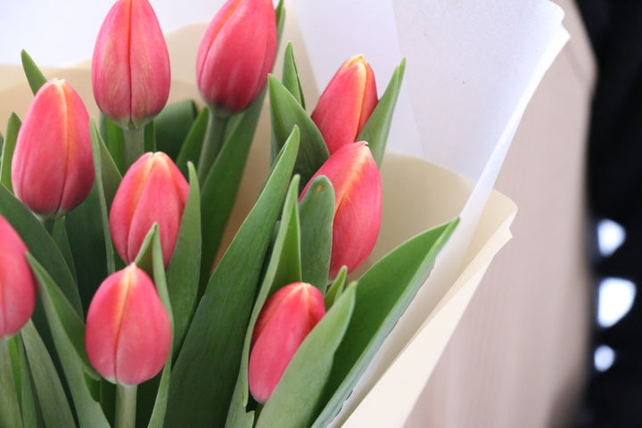 赤色のチューリップの花束（10本）