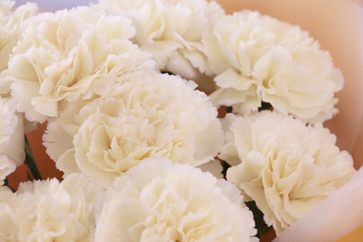 淡い黄色のカーネーションの花束（9本）-いつまでも一緒にいてください