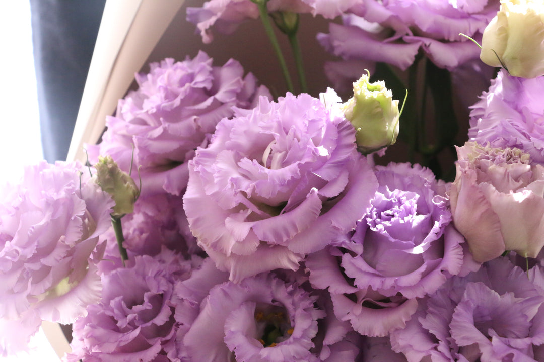 紫色のトルコキキョウの花束（8本）