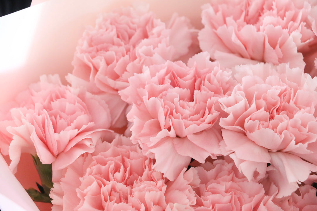 ピンクのカーネーションの花束（10本）