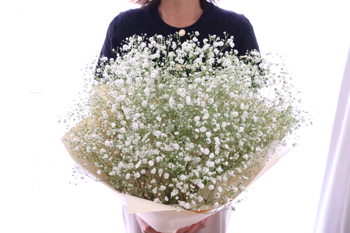 カスミソウ（かすみ草）の花束 6,000円