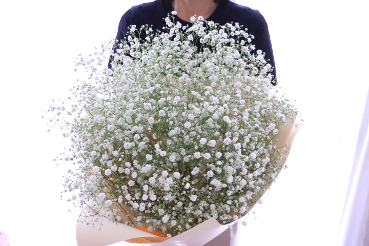 カスミソウ（かすみ草）の花束 8,000円
