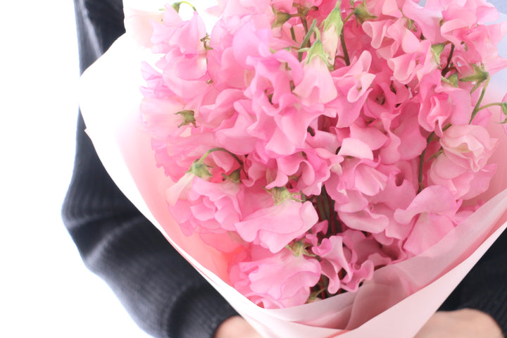ピンク色のスイートピーの花束（25本）