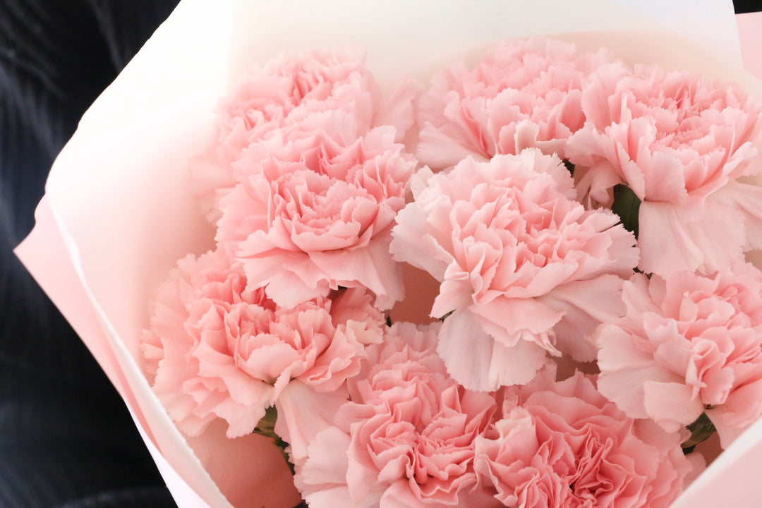 ピンクのカーネーションの花束（9本）-いつまでも一緒にいてください