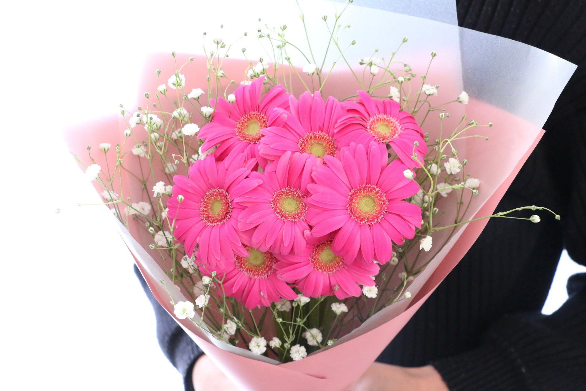濃いピンク色のガーベラ（8本）とカスミソウの花束 – 花・花束の通販