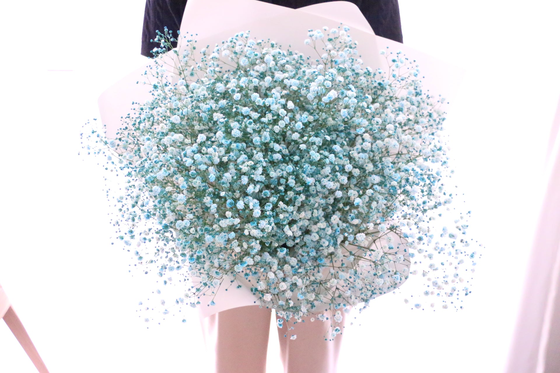 水色のカスミソウ（かすみ草）の花束 10,000円 2Lサイズ – 花・花束の
