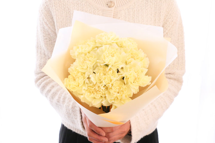 淡い黄色のカーネーションの花束（11本）