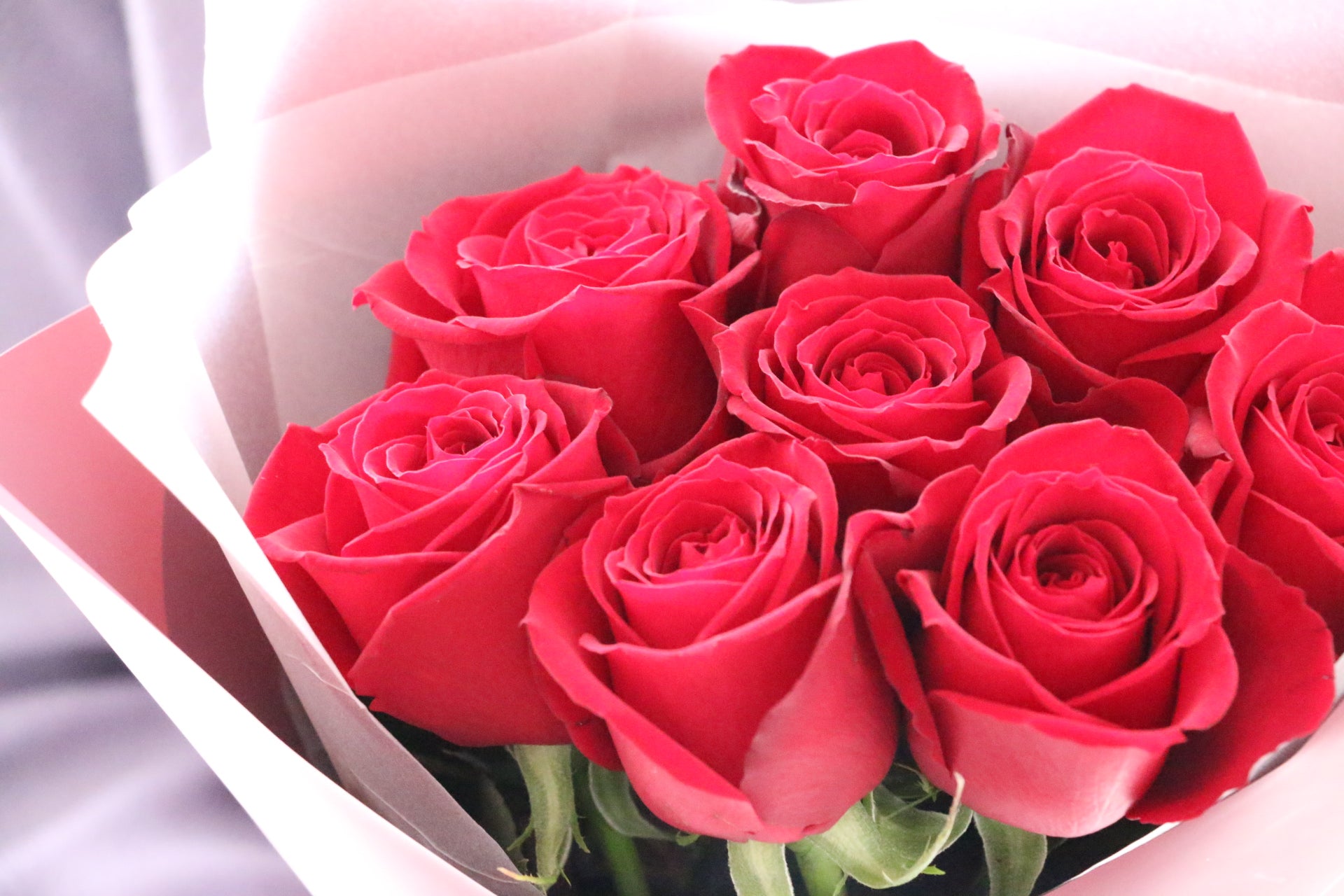 8本の赤いバラの花束-あなたの思いやりに感謝します – 花・花束の通販