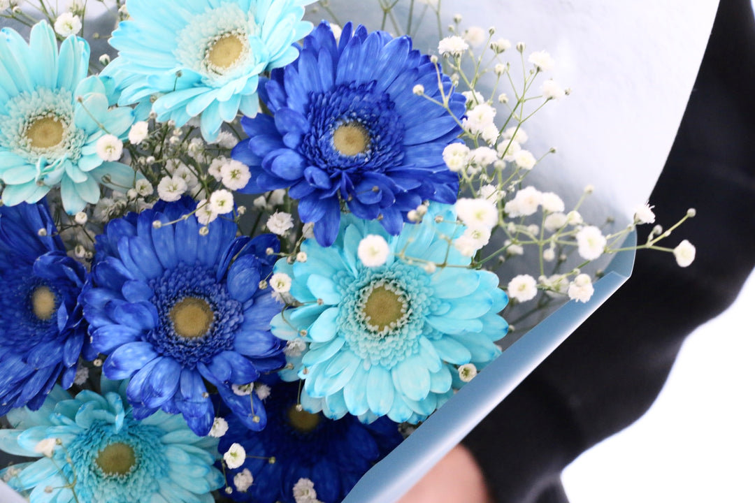 水色と青色のガーベラ（8本）とカスミソウの花束