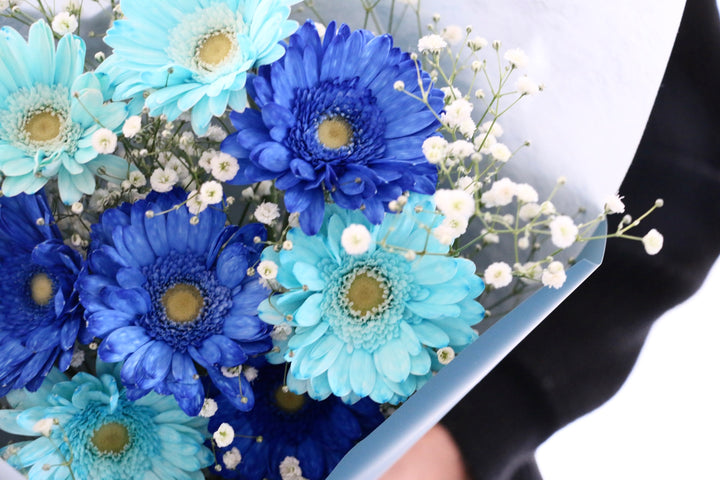水色と青色のガーベラ（8本）とカスミソウの花束