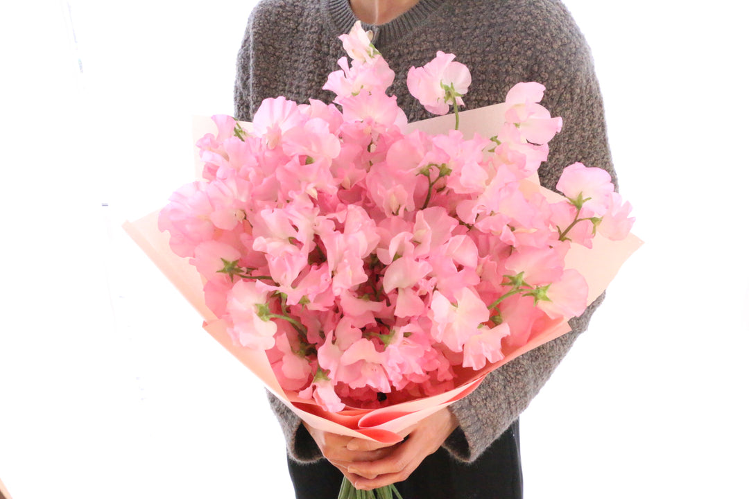 ピンク色のスイートピーの花束（40本）