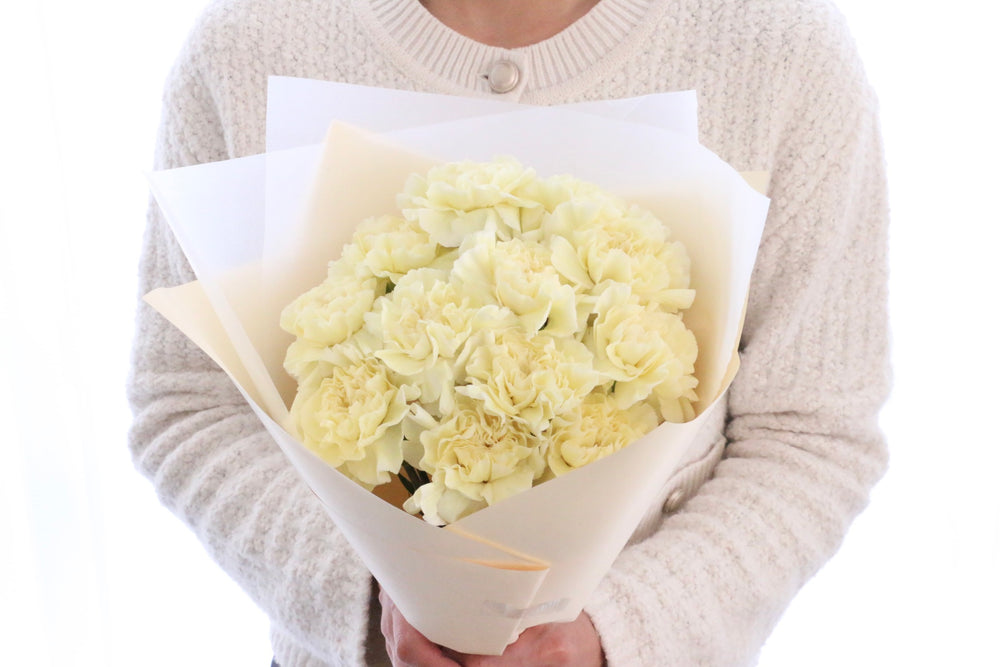 淡い黄色のカーネーションの花束（12本）