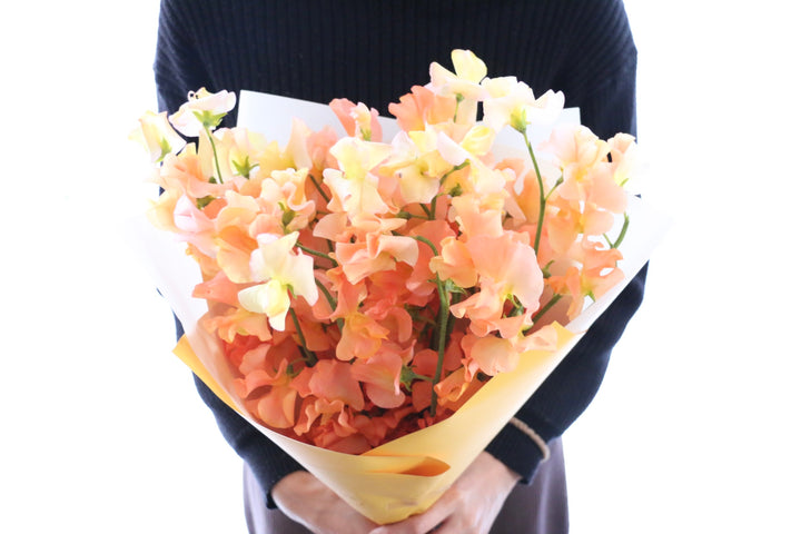 オレンジ色のスイートピーの花束（25本）