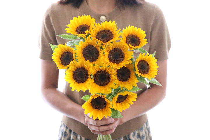 【プロポーズ】ひまわりの花束(12本)