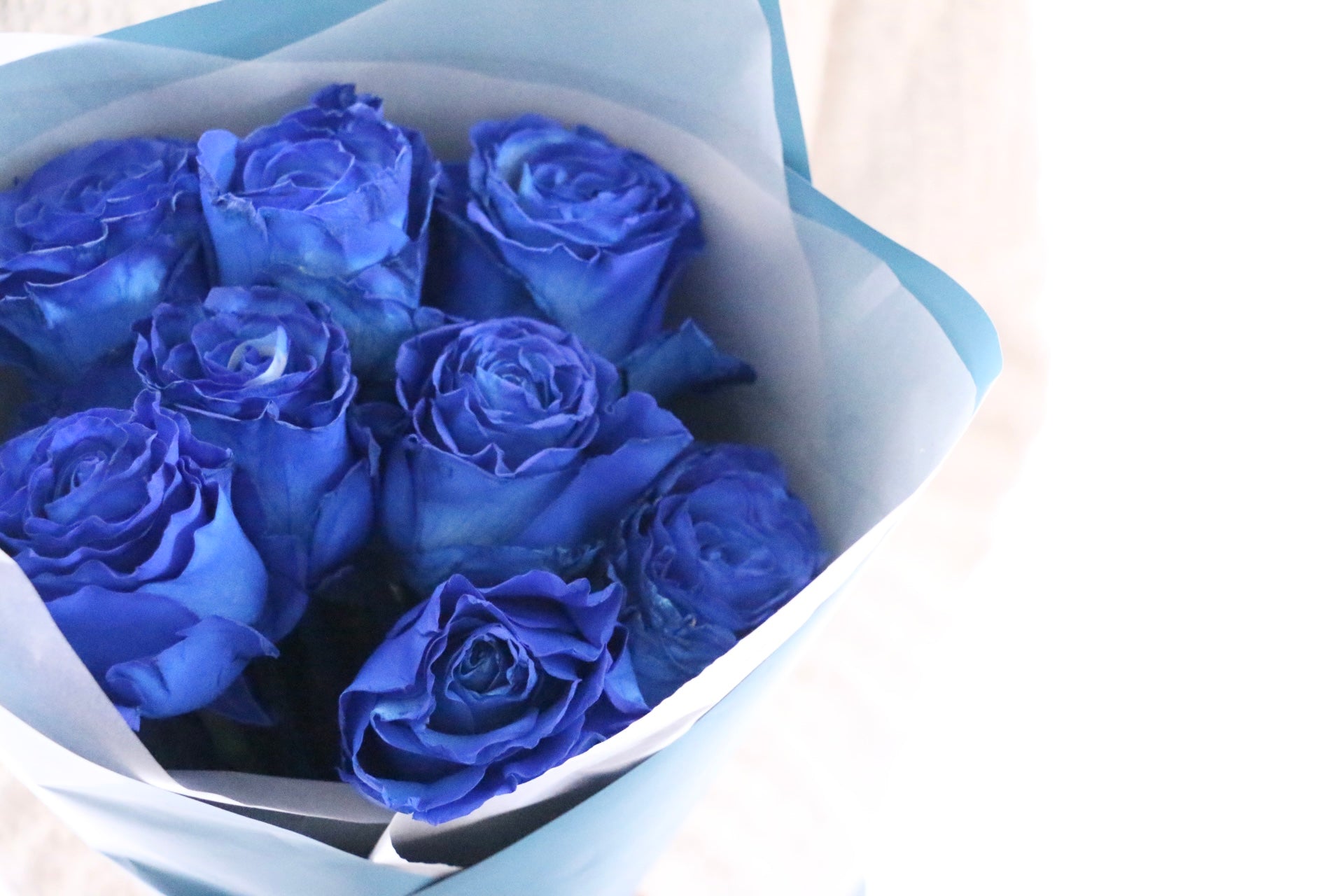 大輪】8本の青いバラの花束 – 花・花束の通販サイト｜HanaTaku