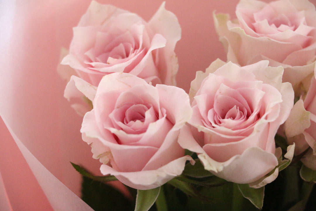 5本のピンク色のバラの花束