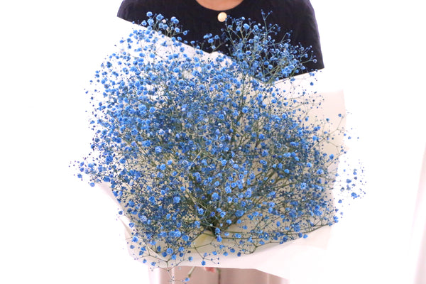 青のカスミソウ（かすみ草）の花束 5,000円