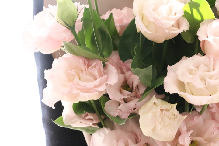 ピンク色のトルコキキョウの花束（6本）