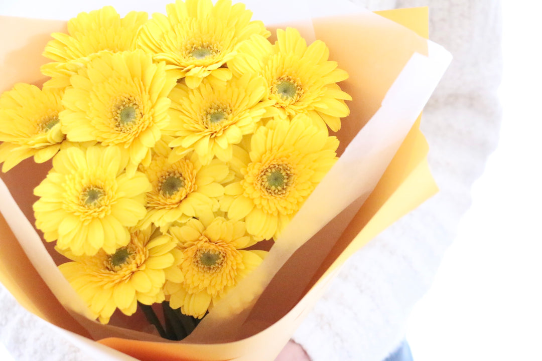 黄色のガーベラの花束（11本）-最愛