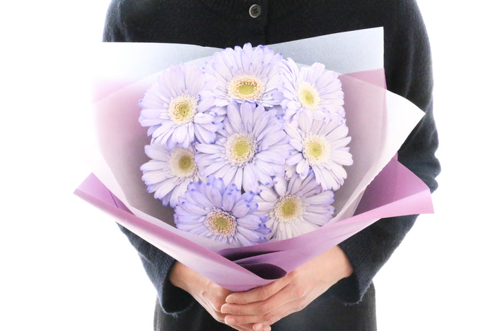 紫色のガーベラの花束（8本）-あなたの思いやりに感謝します