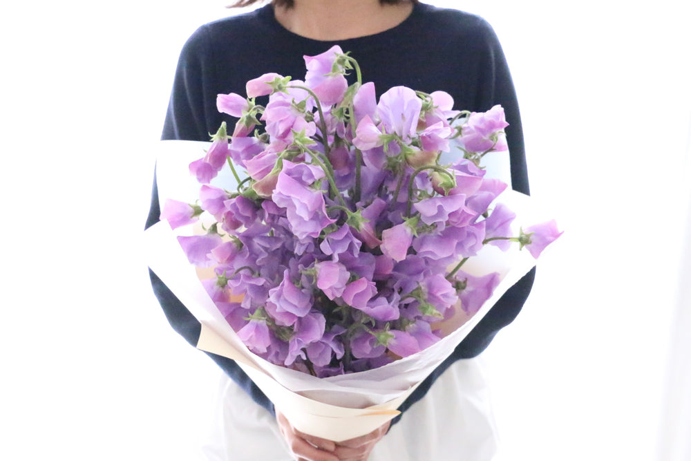 紫色のスイートピーの花束（40本）