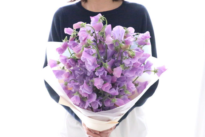 紫色のスイートピーの花束（40本）