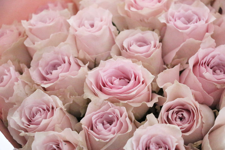 32本のピンク色のバラの花束