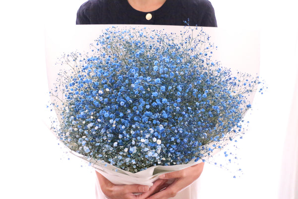青のカスミソウ（かすみ草）の花束 10,000円